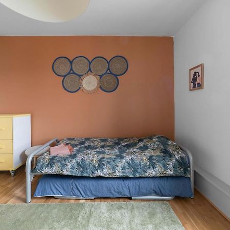 ⟬Cosy Blum 63⟭ Charmant Et Accueillant ⁕Mansarde⁕ 克莱蒙费朗 外观 照片